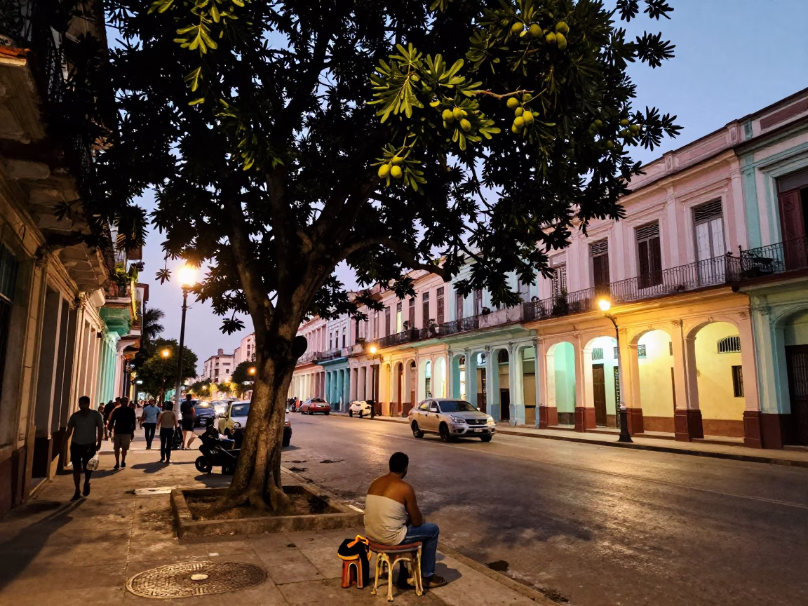 Havana Cuba Street Scene at Dusk with Fig Tree and Clay Pot in in Havana, Cuba