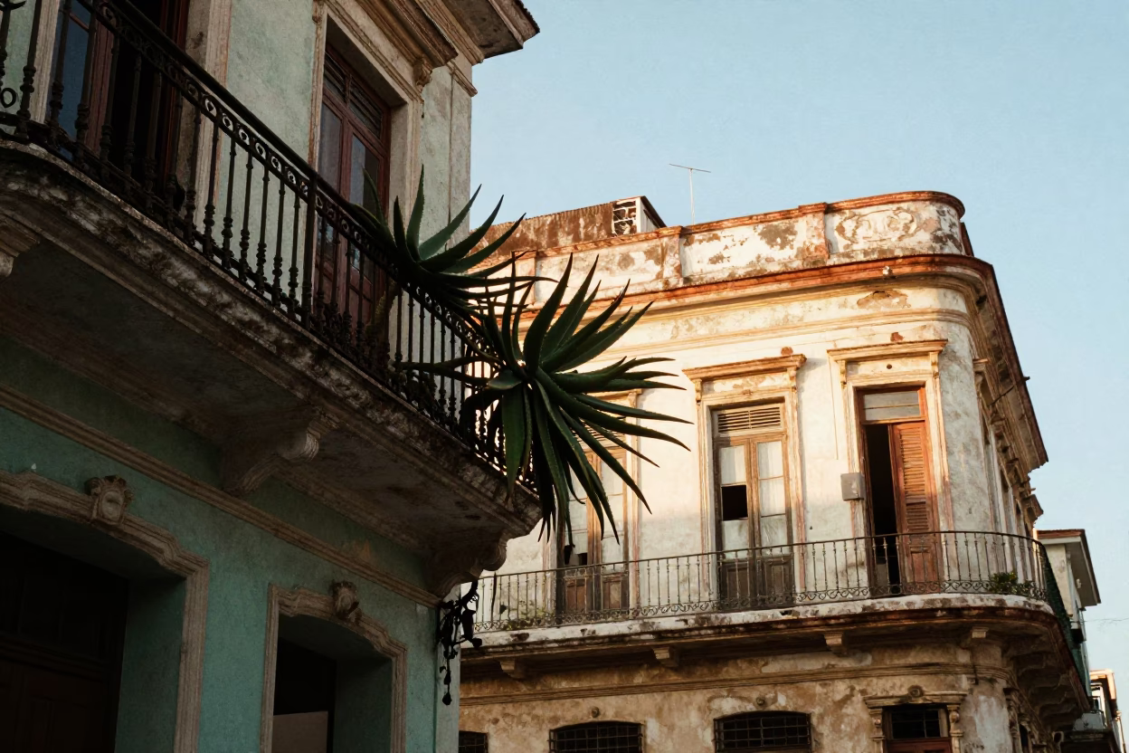 Havana Cuba Street Scene Late Afternoon Light with Aloe Vera and Colonial Architecture in in Havana, Cuba