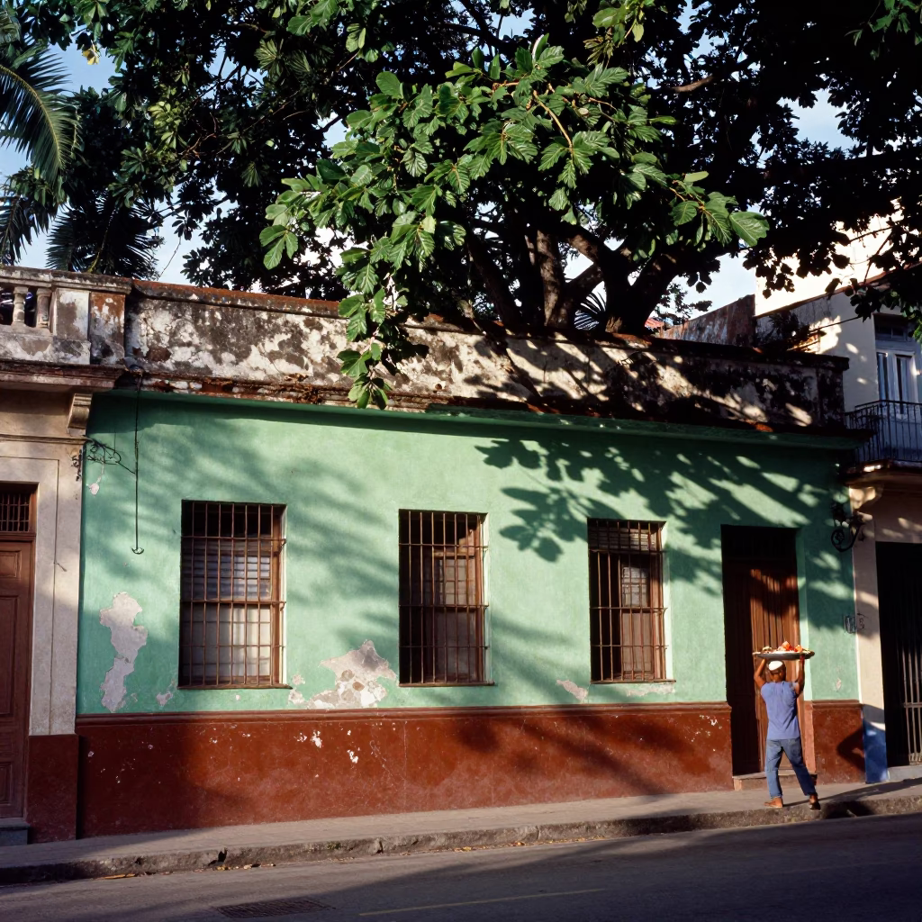 Havana Cuba street scene with glossy enamel surfaces and leaf shadows in in Havana, Cuba