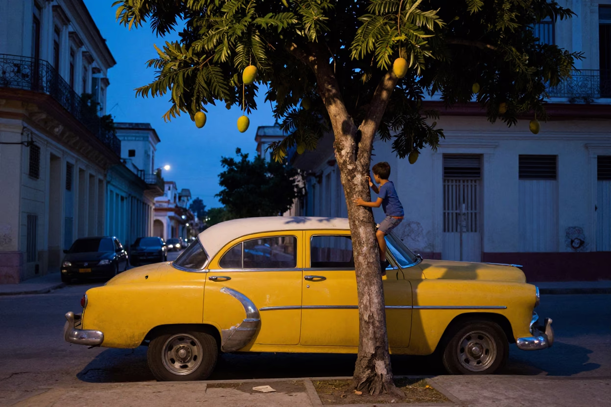 Havana Cuba Twilight Street Scene with Vintage Car and Mango Tree in in Havana, Cuba