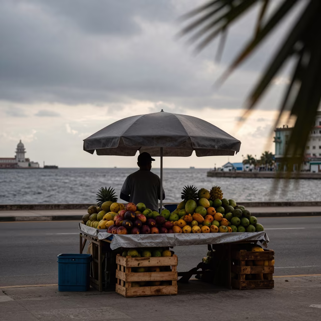 Havana Fruit Seller Silhouette Before Dusk in at a roadside fruit stand in Malecon, Havana