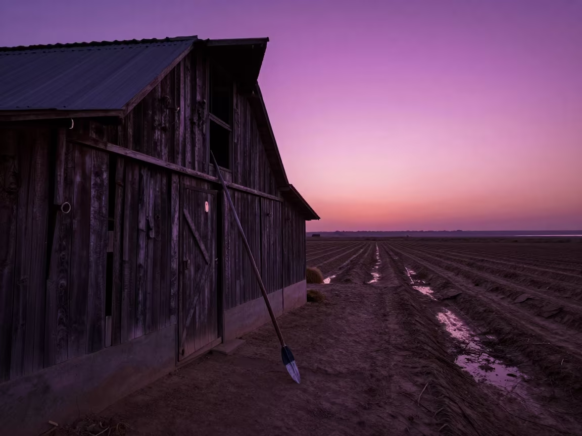 Hay Bale Spear Silhouette Dead Sea Twilight in along freshly irrigated rows in the Dead Sea