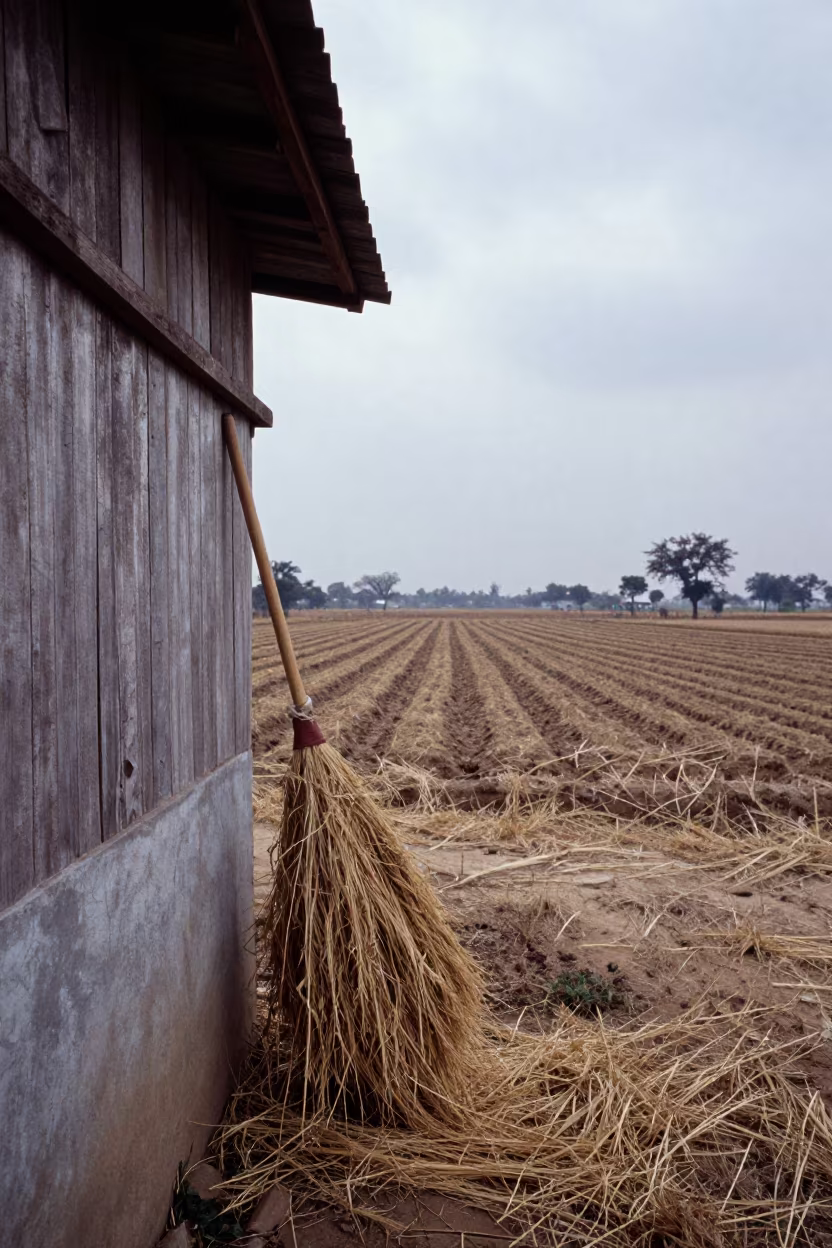 Hay Bale Spear Leaning on Cracked Barn in along freshly irrigated rows near Bhagalpur