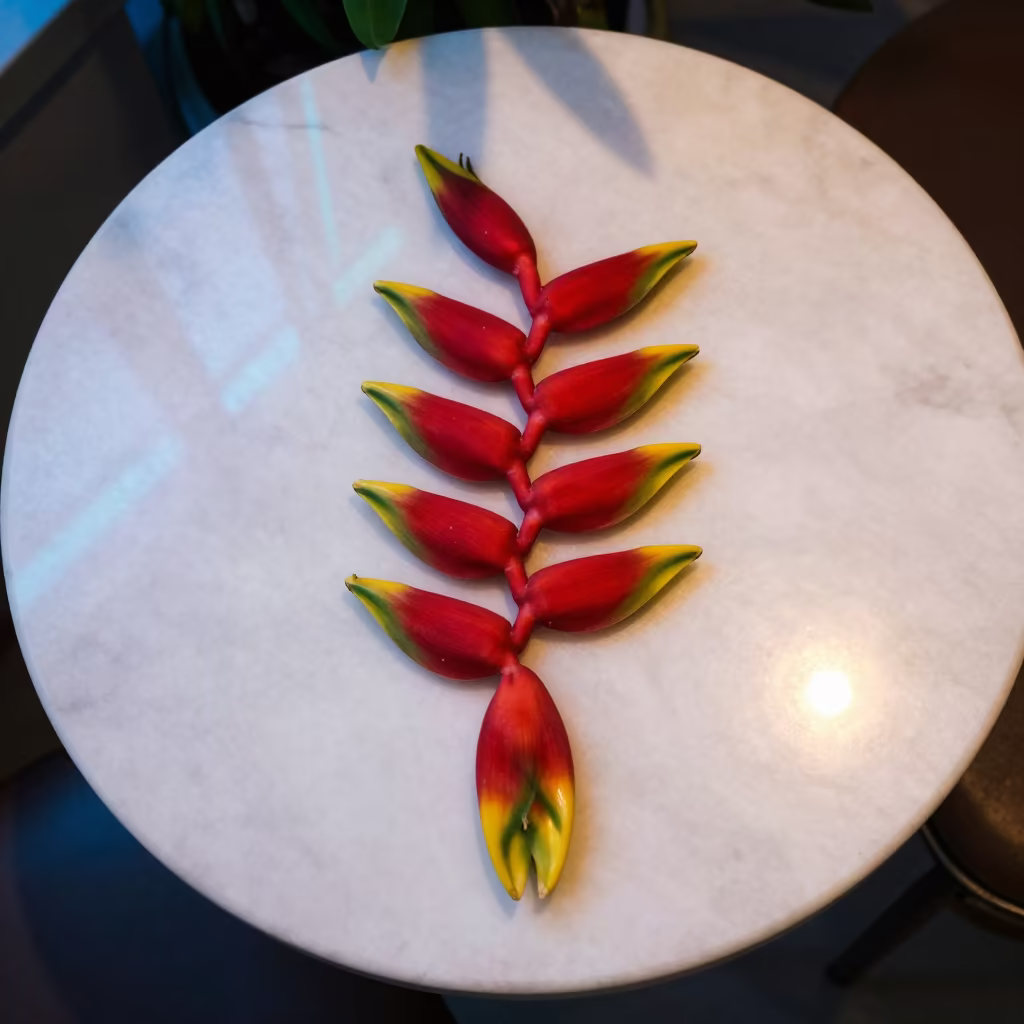 Heliconia Bracts on Marble Cafe Table Jalandhar in on a marble cafe table in Jalandhar