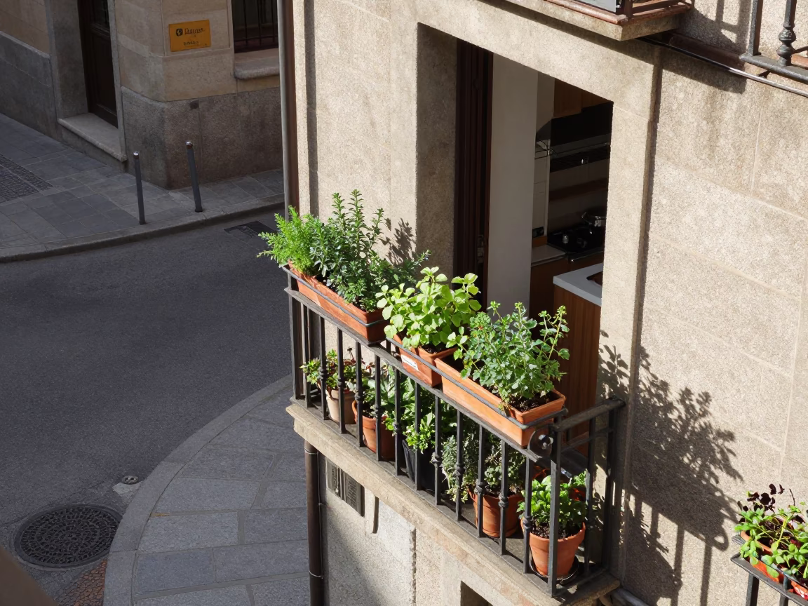 Herbs at Afternoon Light in in Bilbao, Spain