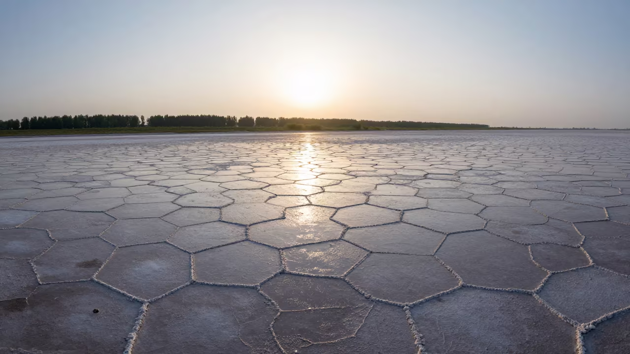 Hexagonal Salt Crystals at Dawn Near Changchun in across a floodplain after rain near Changchun