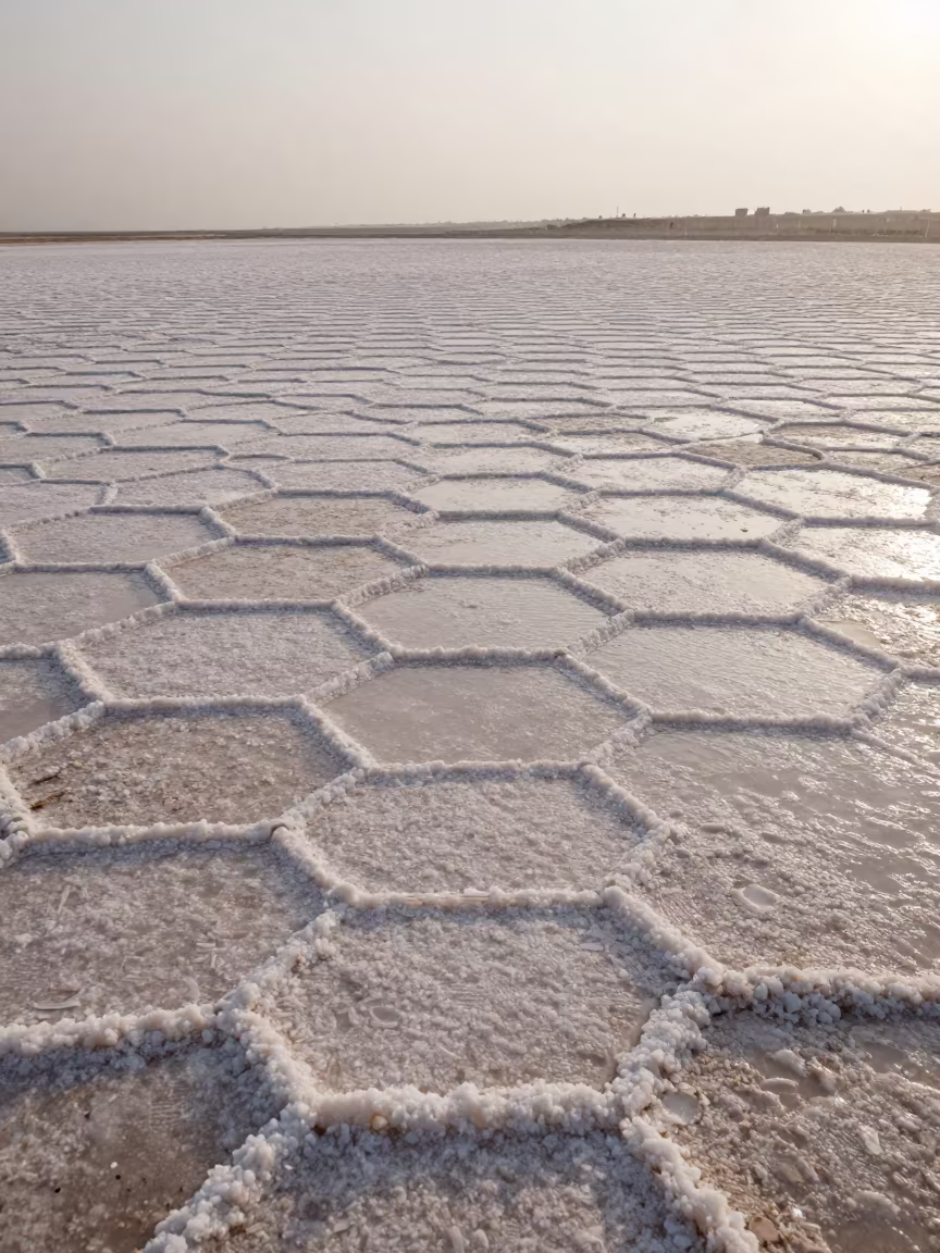 Hexagonal Salt Crystals on Floodplain in across a floodplain after rain near Irbid