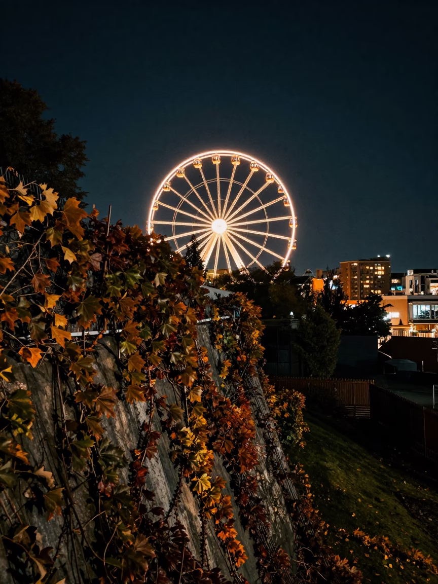 Hill Covered at Deep In The Night Light in Seattle in in Seattle, Washington, United States