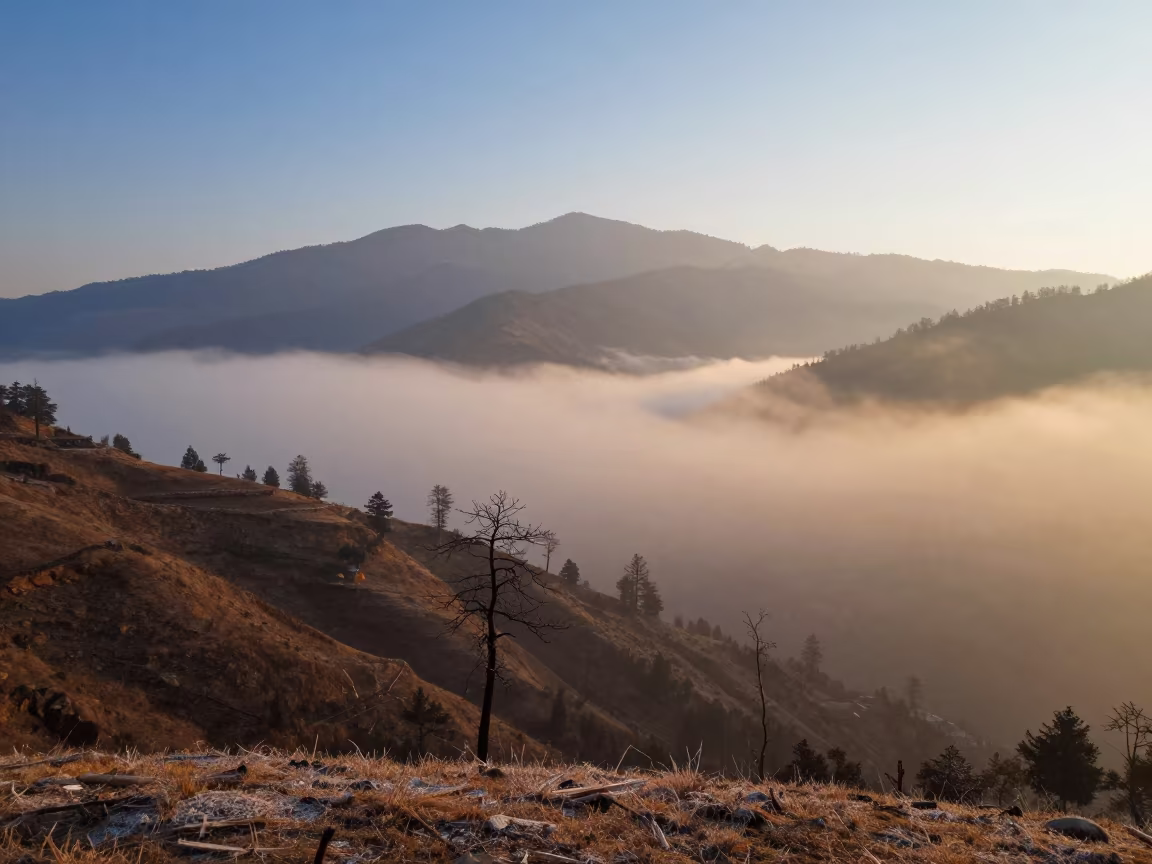 Himachal Valley Fog Silhouetted Against Evening Sky in in Himachal Pradesh