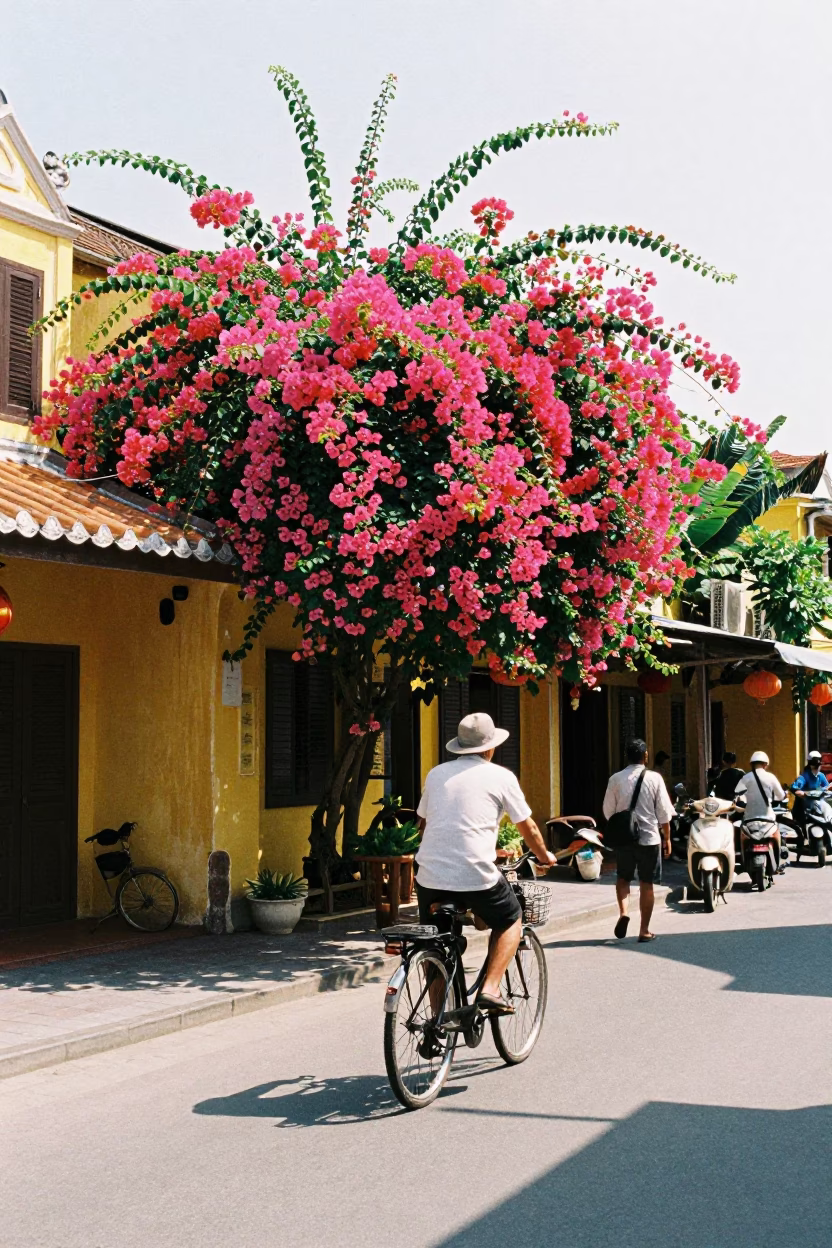 Hoi An Street Scene at Bright Midmorning Light in in Hoi An, Vietnam