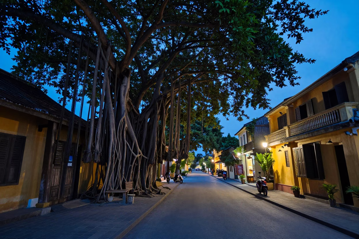 Hoi An Vietnam Evening Street Scene with Banyan Grove and Local Life in in Hoi An, Vietnam
