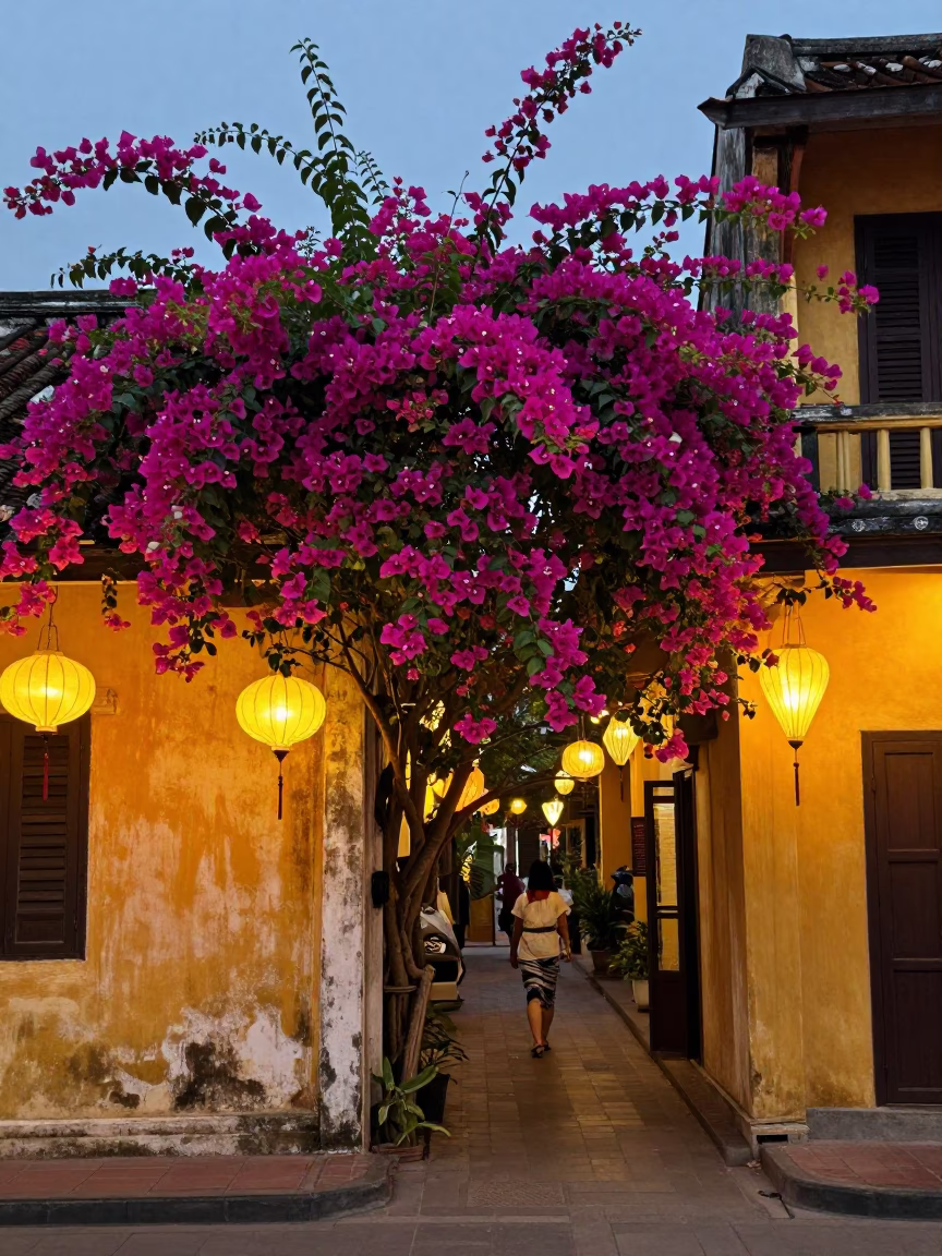 Hoi An Vietnam Evening Street Scene with Bougainvillea and Lanterns in in Hoi An, Vietnam