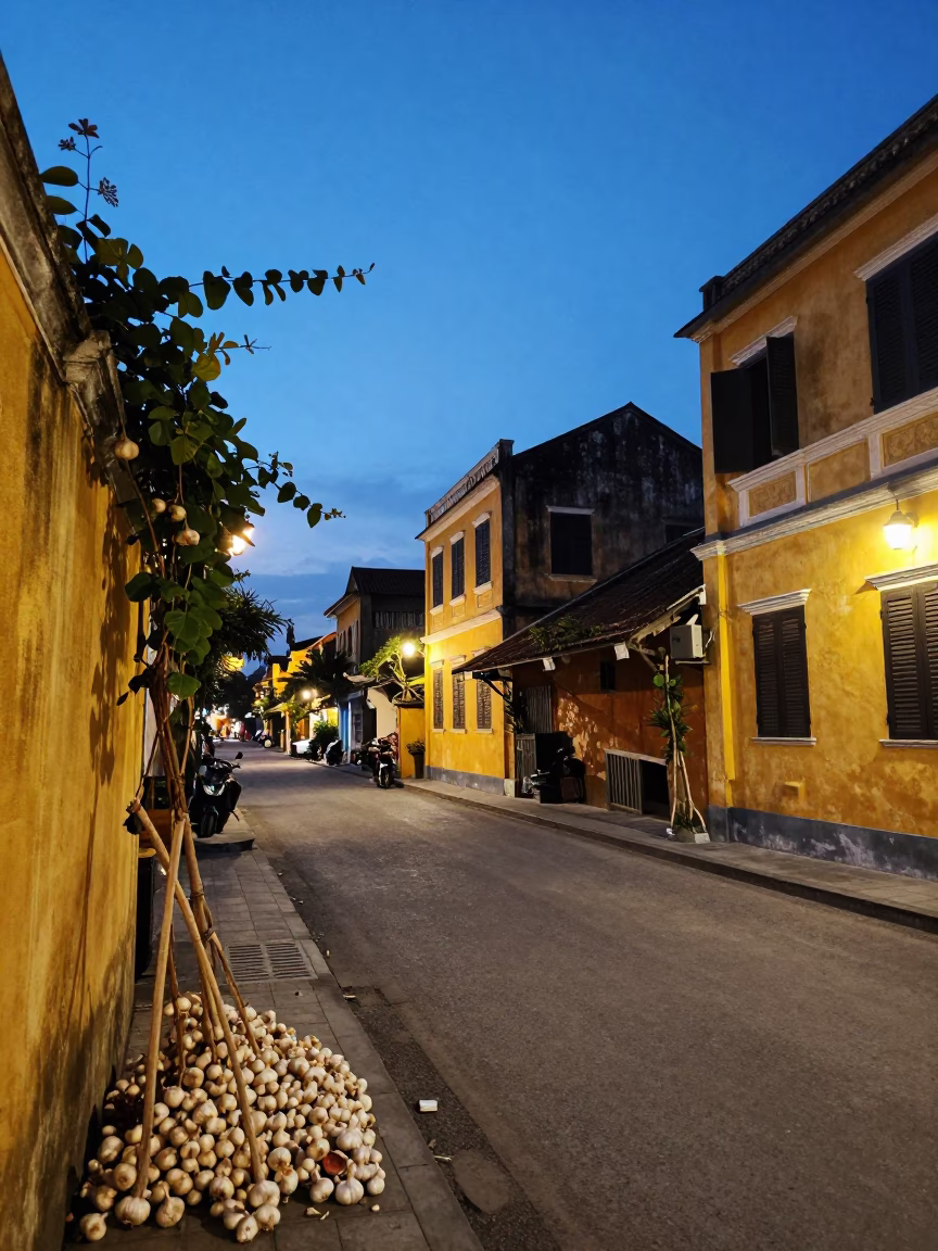 Hoi An Vietnam Evening Street Scene with Garlic Bulbs and Vine Details in in Hoi An, Vietnam