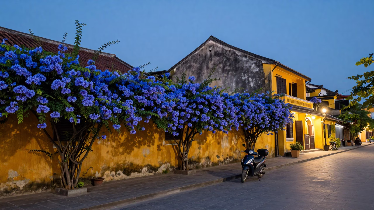 Hoi An Vietnam Evening Street Scene with Plumbago Hedge and Scooter Traffic in in Hoi An, Vietnam