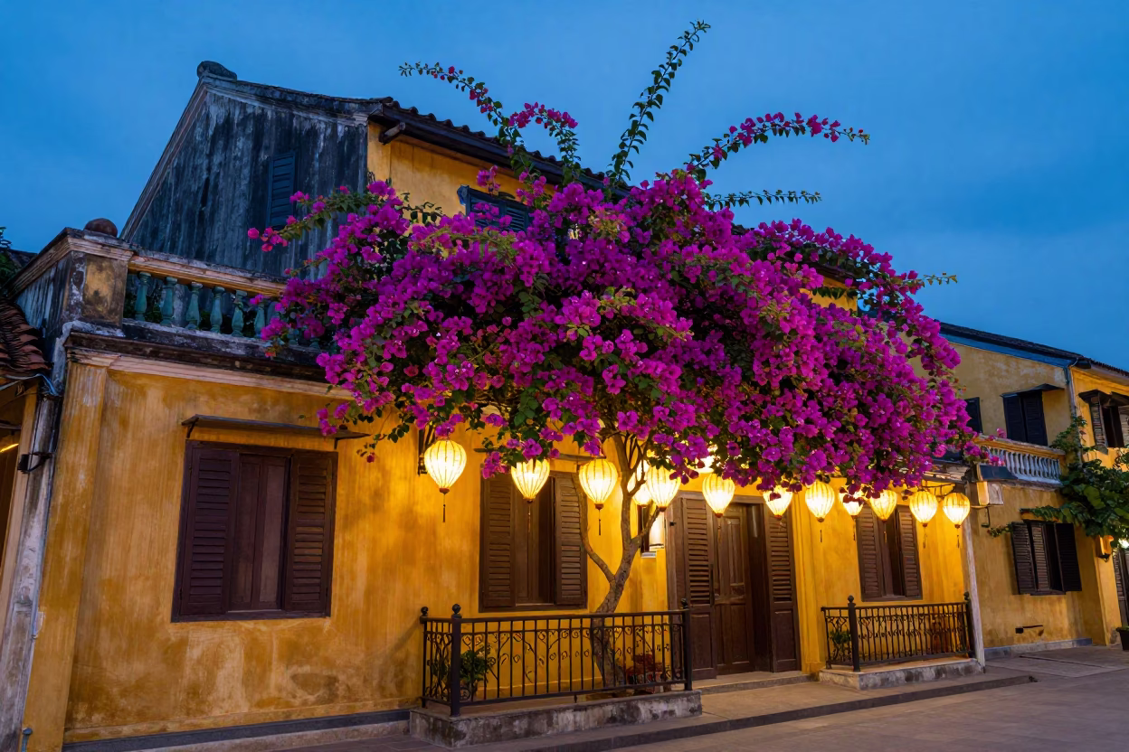 Hoi An Vietnam Indigo Twilight Street Scene with Bougainvillea and Lanterns in in Hoi An, Vietnam