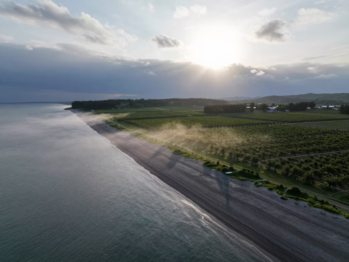 Hokkaido Beach Aerial Dawn Misty Shadows in far above orchard blocks and irrigation lines in Hokkaido