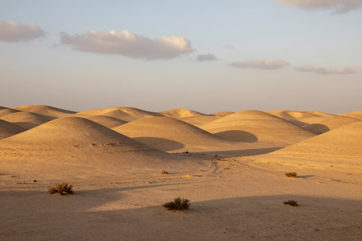 Honeyed Evening Light Over Al Hudaydah Drumlin Field in near Al Hudaydah