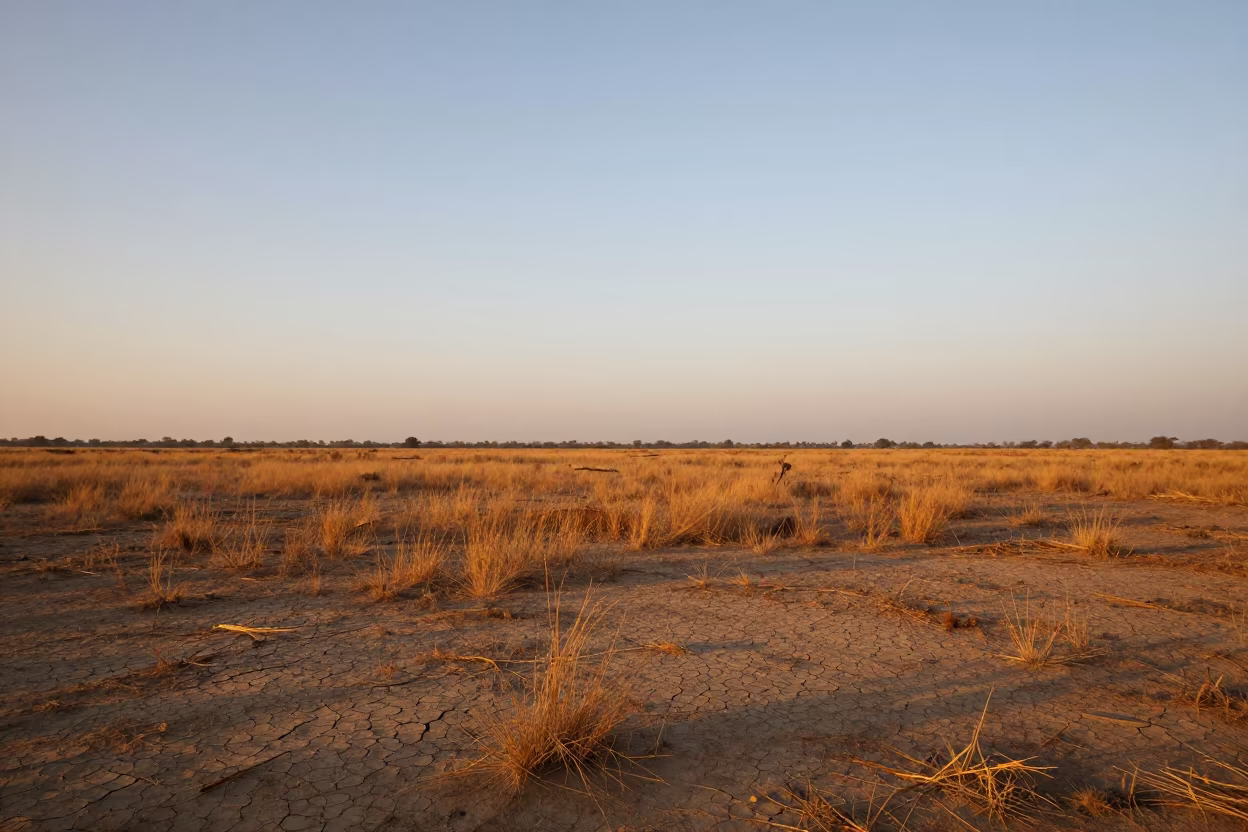 Honeyed Evening Light Over Dry Steppe Floodplain in across a floodplain after rain near Tirunelveli