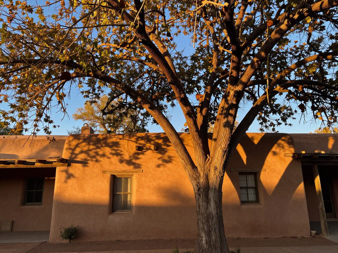 Honeyed Evening Light on Afternoon Light in Santa Fe in in Santa Fe, New Mexico, United States
