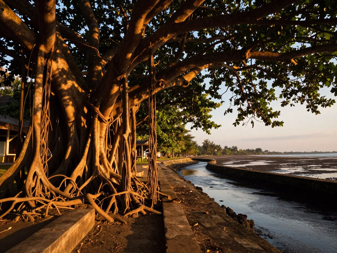 Honeyed Evening Light on Banyan Tree and Tidal Channel in Denpasar Indonesia in in Denpasar, Indonesia