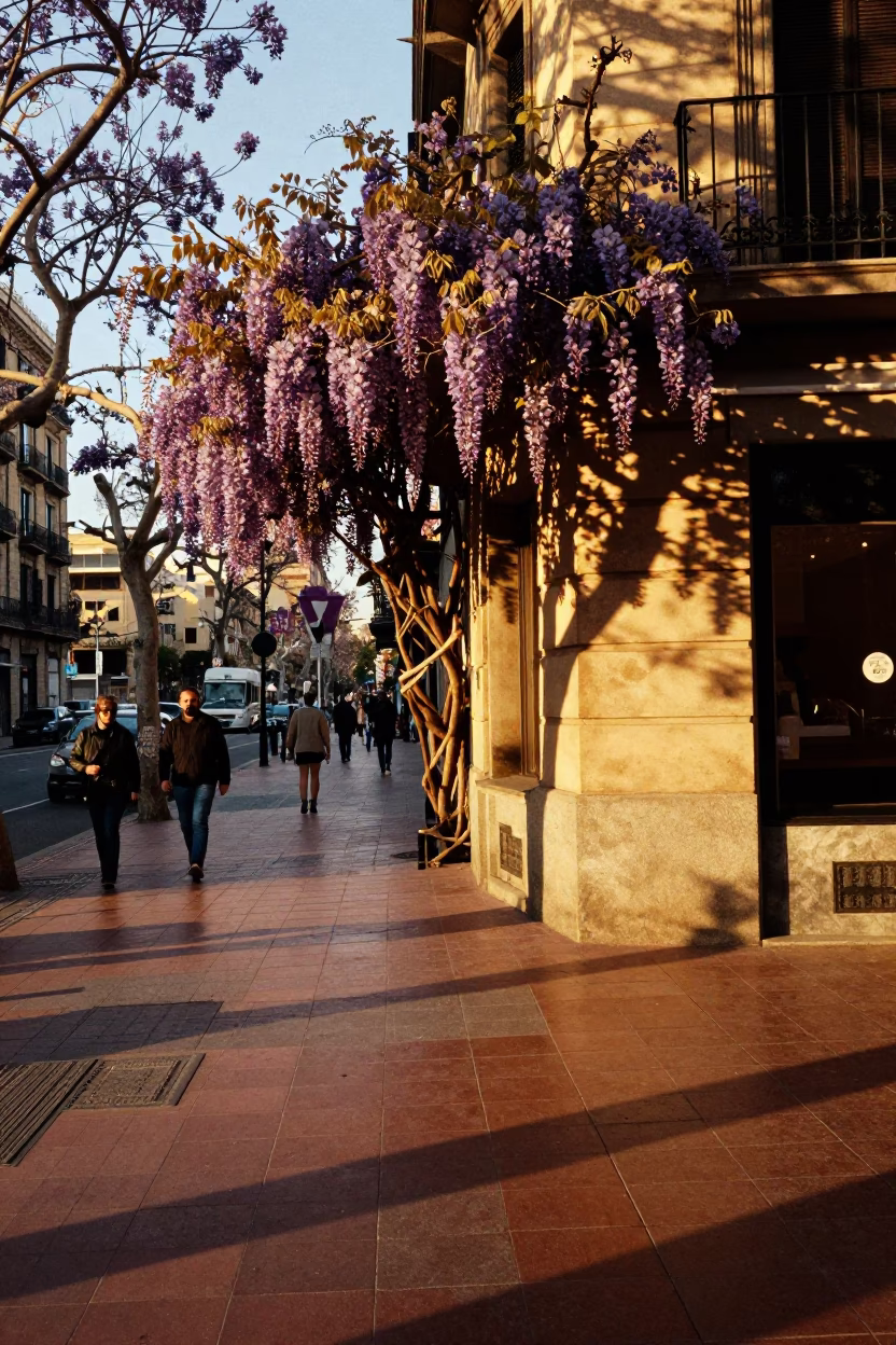 Honeyed Evening Light on Barcelona Street Corner with Wisteria Pergola and Local Diners in in Barcelona, Spain