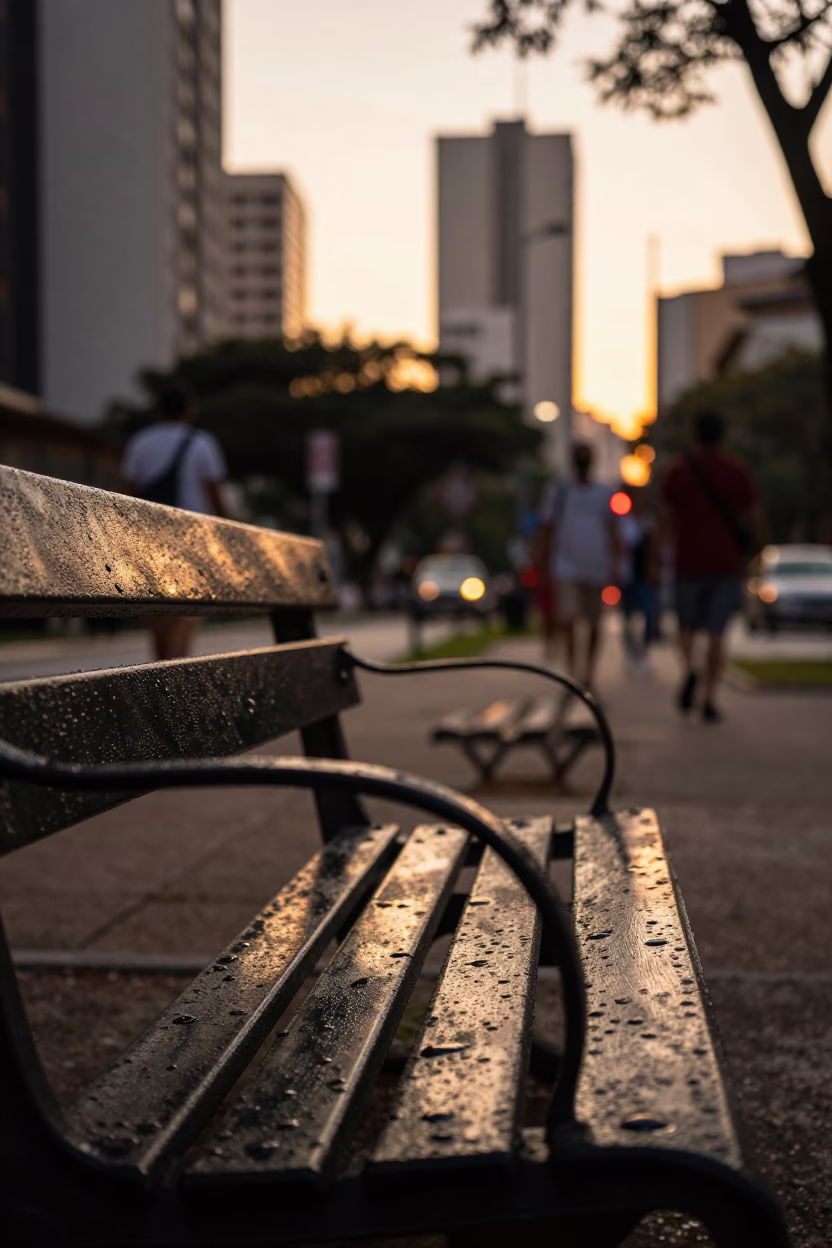 Honeyed Evening Light on Evening Light in São Paulo in in São Paulo, Brazil