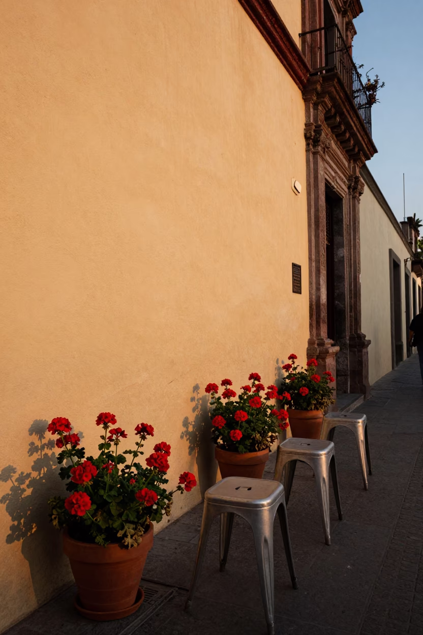Honeyed Evening Light on Mexico City Street with Metal Stools and Geraniums in in Mexico City, Mexico