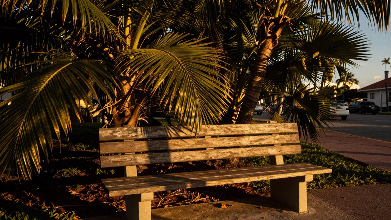 Honeyed Evening Light on Miami Beach Street with Leaf Shadows on Bench Slat in in Miami, Florida, United States