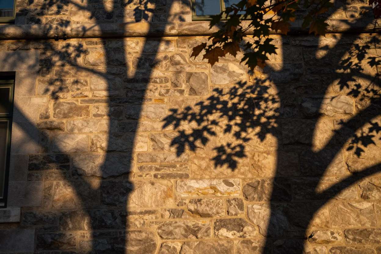 Honeyed Evening Light on Quebec City Stone Walls and Leaf Shadows in in Quebec City, Quebec, Canada