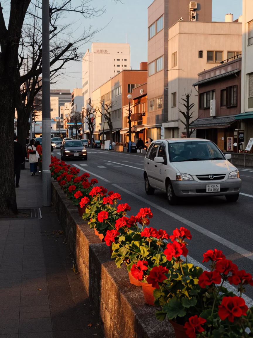 Honeyed Evening Light on Street Scene in Sapporo in in Sapporo, Japan