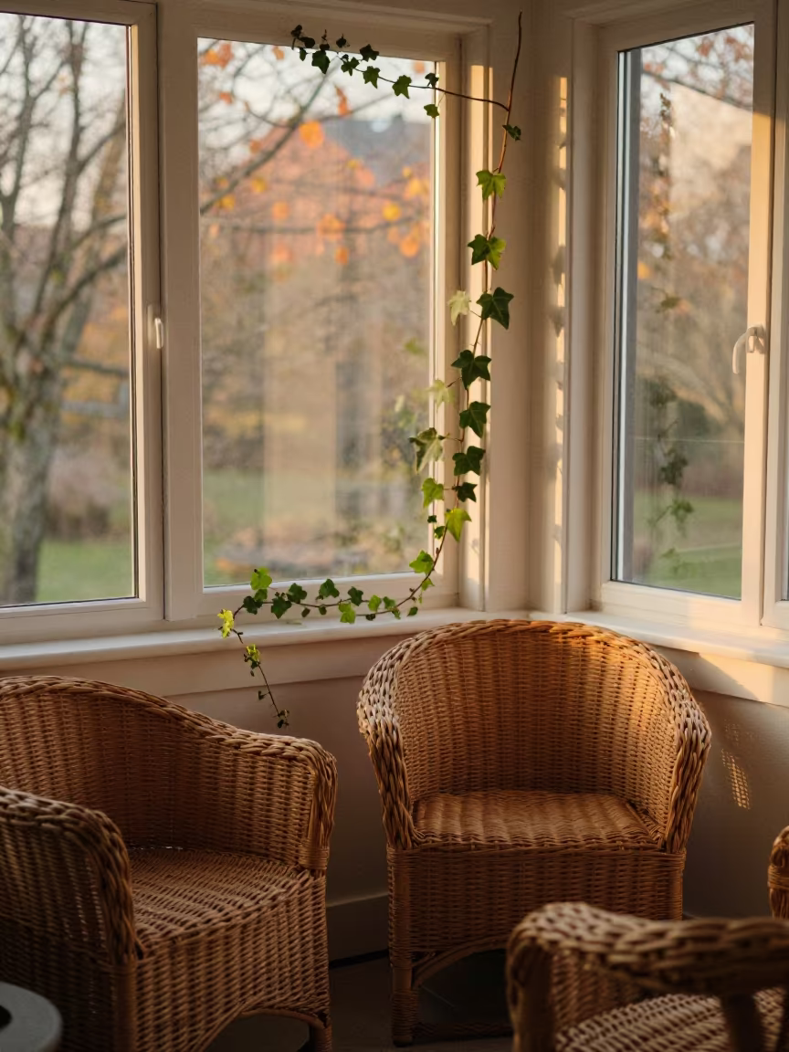 Honeyed Evening Sunroom with Wicker and Ivy in Tyre in on a window seat in Tyre