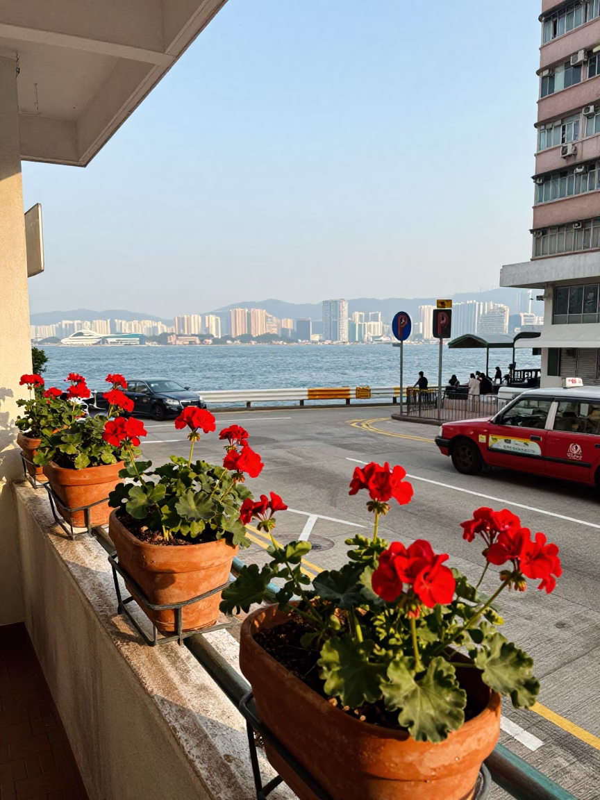 Hong Kong Early Afternoon Street Scene with Geraniums and Coastal Limestone Cliffs in in Hong Kong, Hong Kong