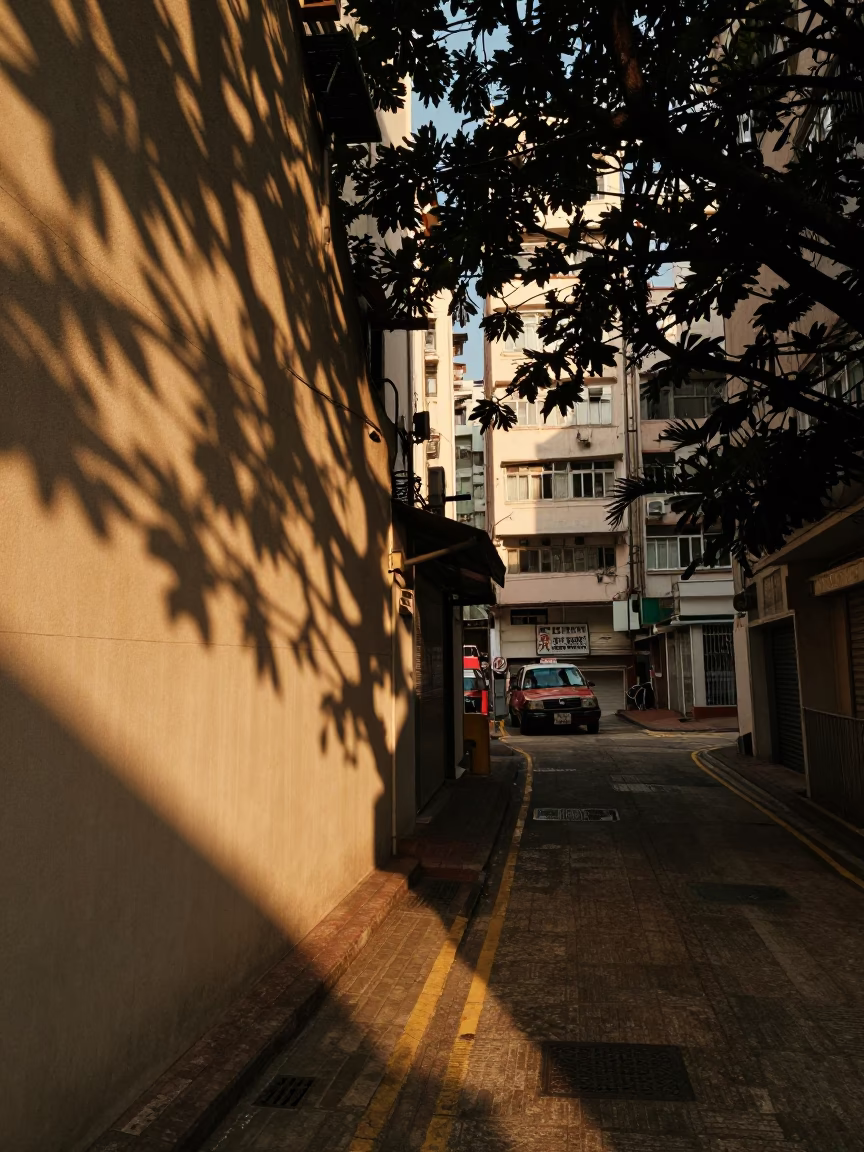 Hong Kong Evening Street Scene with Dappled Leaf Shadows and Rusty Wall Details in in Hong Kong, Hong Kong