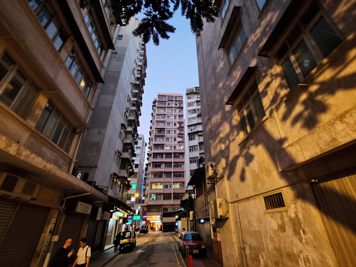 Hong Kong Evening Street Scene with Leaf Shadows and Window Light in in Hong Kong, Hong Kong
