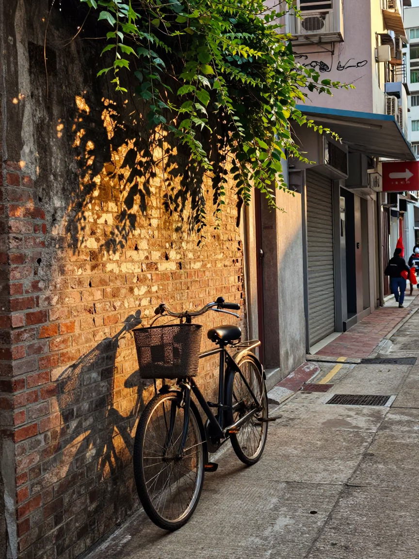 Hong Kong Golden Hour Street Scene with Bicycle Basket and Ivy Climb in in Hong Kong, Hong Kong