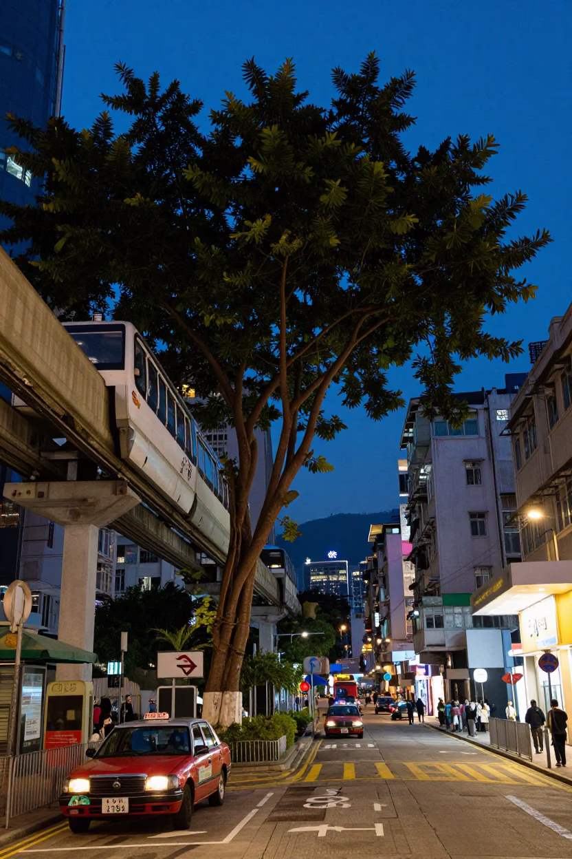 Hong Kong Indigo Twilight Street Scene with Fig Tree and Monorail Reflection in in Hong Kong, Hong Kong