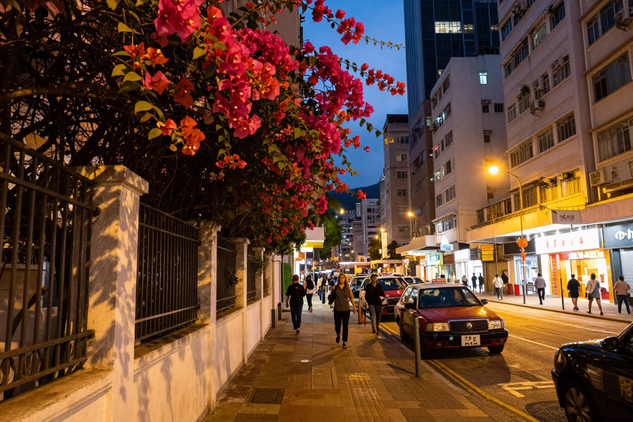 Hong Kong Street Scene at Dusk with Bougainvillea and Traditional Signage in in Hong Kong, Hong Kong