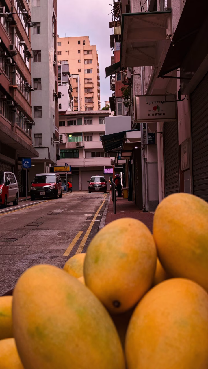 Hong Kong Street Scene in Copper Twilight with Yellow Mangoes and Loom Shuttle in in Hong Kong, Hong Kong