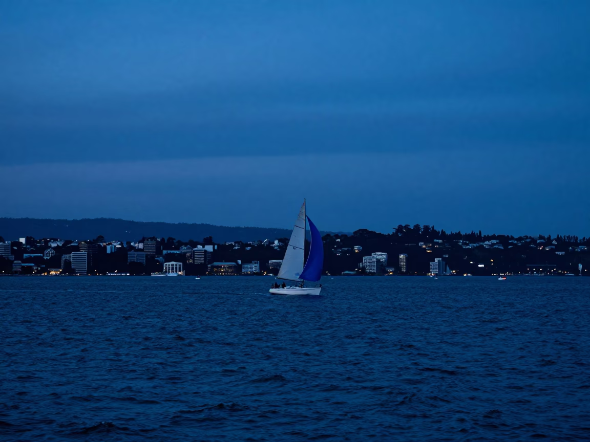 Horizon Shot in Wellington at The Last Blue Light Of Evening in in Wellington, New Zealand