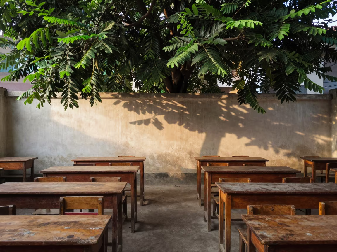 Horizontal Tree in Dhaka Classroom Sunlight in inside a quiet classroom in Banani, Dhaka