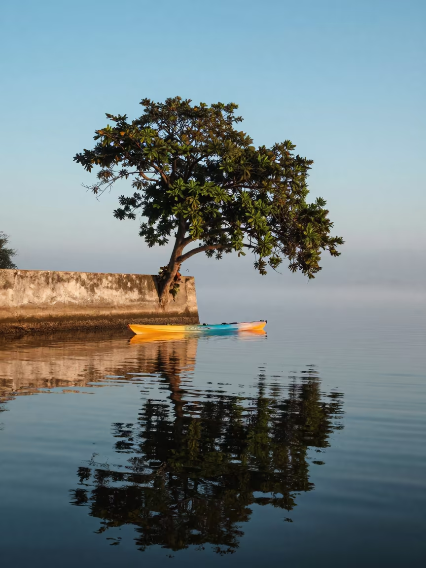 Horizontal Tree Kayak Foggy Harbor Cuba in beside a fogbound harbor mouth in Cuba