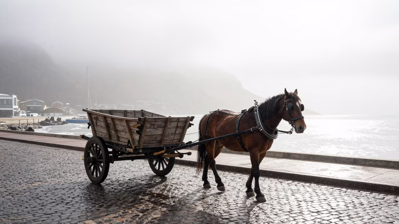 Horse Cart on Foggy Harbor Street in beside a fogbound harbor mouth in South Africa
