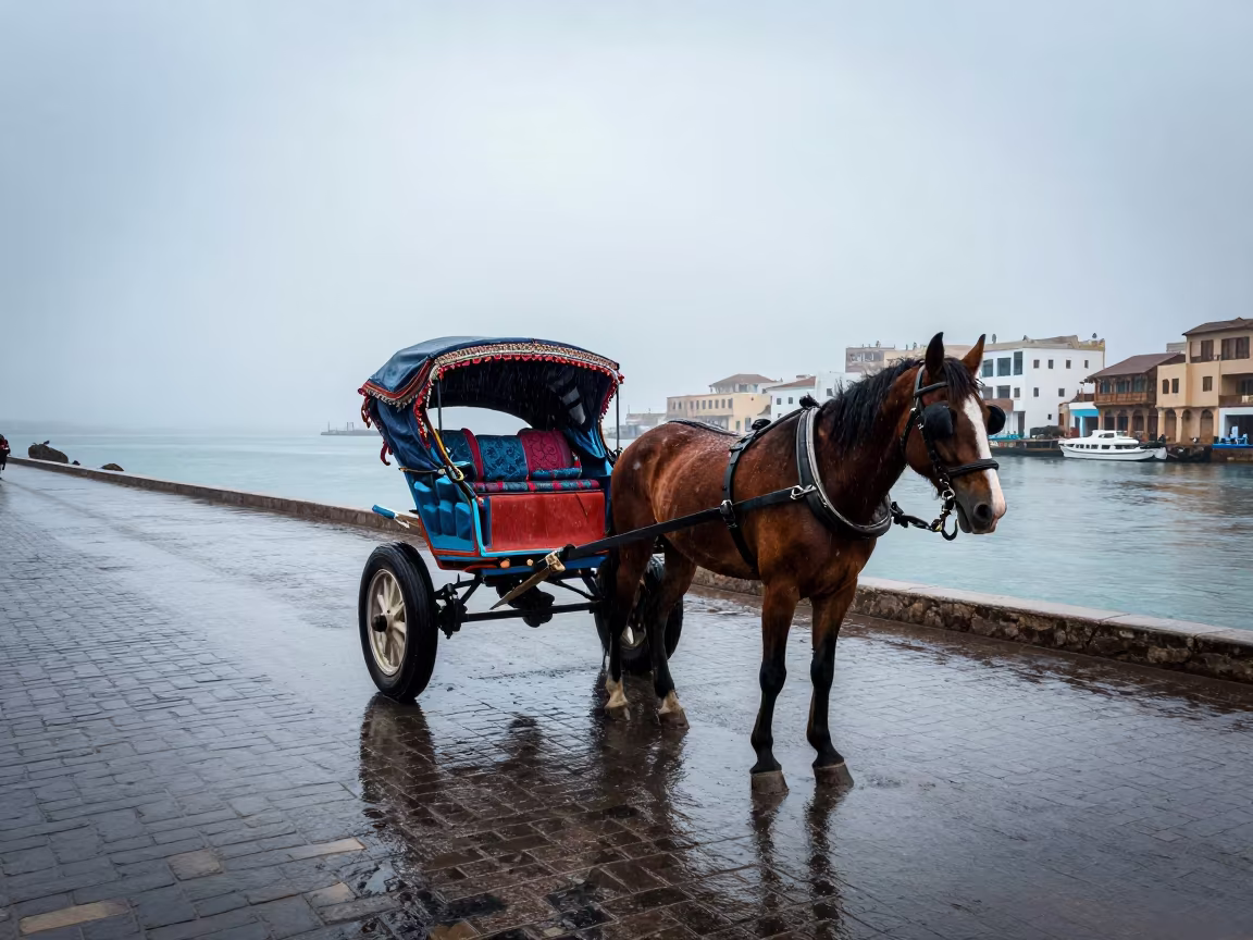 Horse Cart Reflections in Dhamar Harbor Rain in beside a fogbound harbor mouth near Dhamar