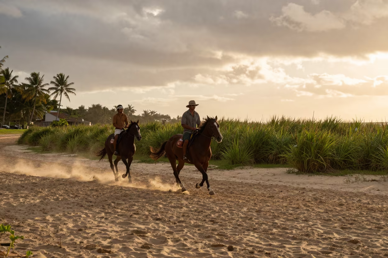 Horse Racing Along Fiji Beach Reed Bed in at the edge of a reed bed in Fiji