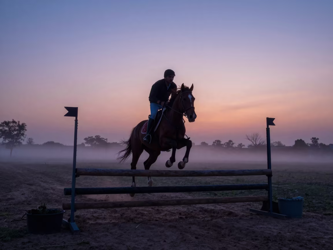 Horse and Rider Jumping at Dusk in Rahim Yar Khan in in Rahim Yar Khan