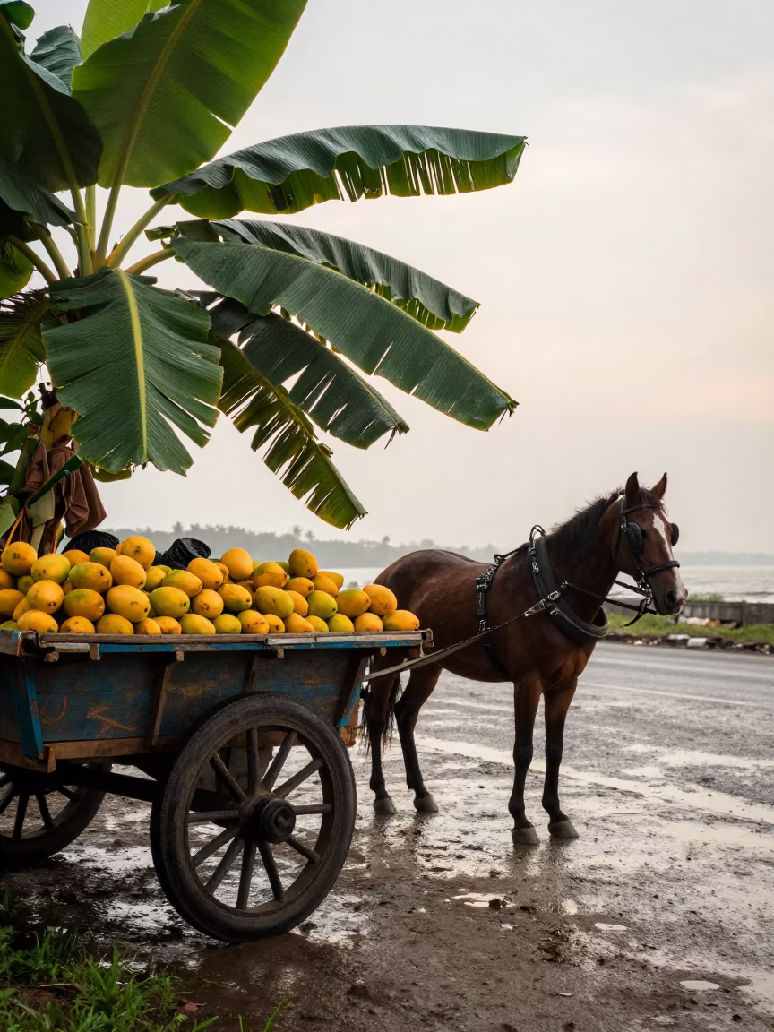 Horse Wagon at Benin Fruit Stand Sunrise in beside a tidal inlet near Benin City