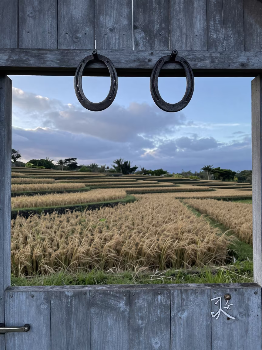 Horseshoes Above Barn Door in Hawaii Rice Paddies in among terraced rice paddies in Hawaii