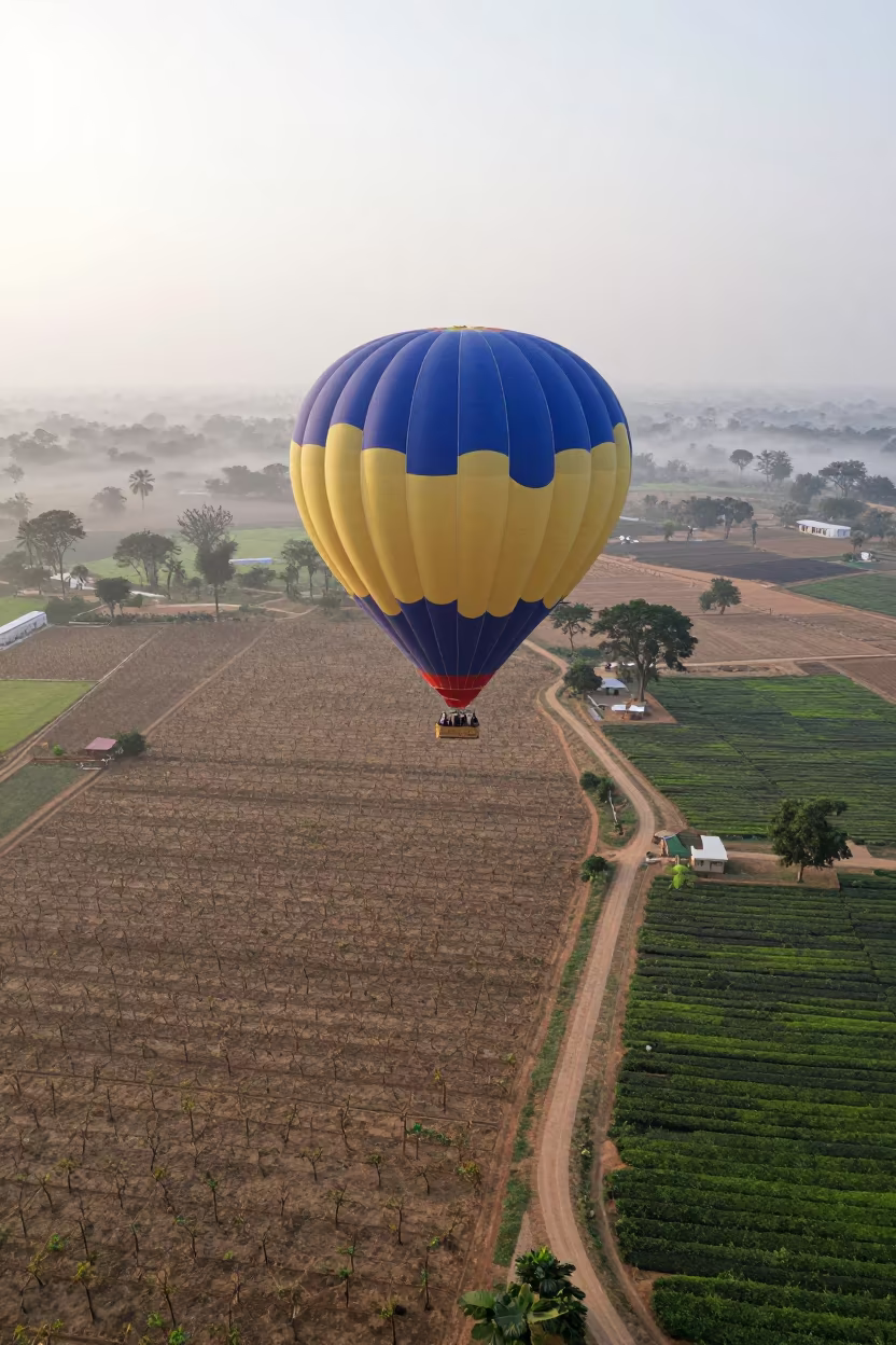 Hot Air Balloon Over Dry Vineyards in at the edge of a tea plantation in Batala