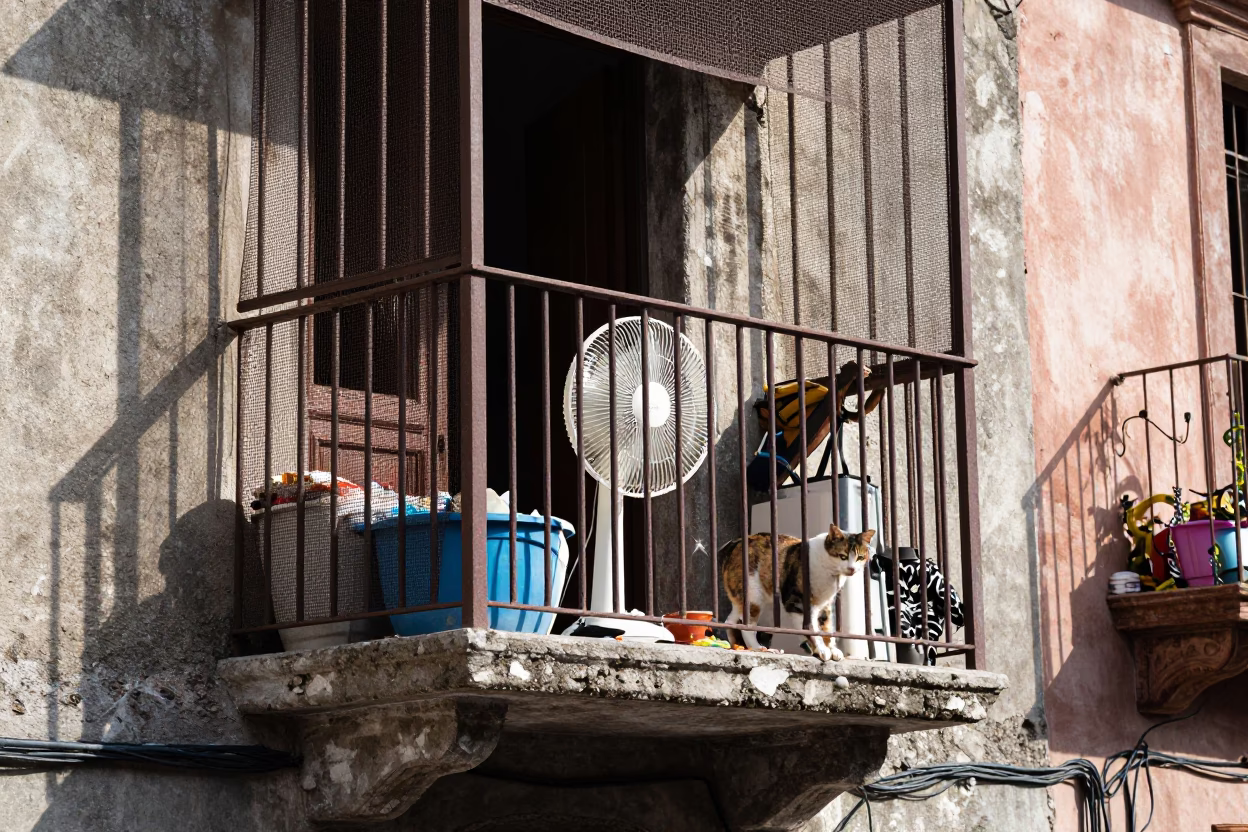 Household Clutter in Mexico City in in Mexico City, Mexico
