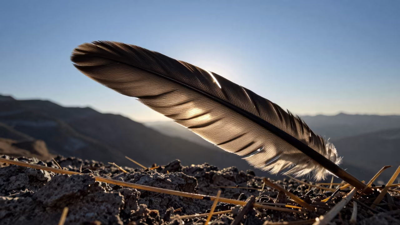 Hummingbird Feather Iridescence on Kashmir Ridge in on a wind-scoured ridge in Kashmir